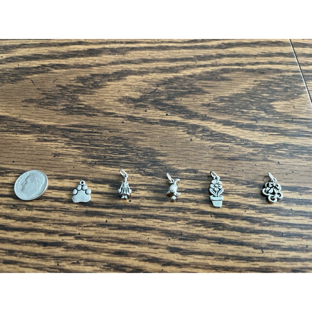925 Sterling Silver Charms Lot 5 - Duck, Dog Paw, Girl Pails, Flower, Wreath
